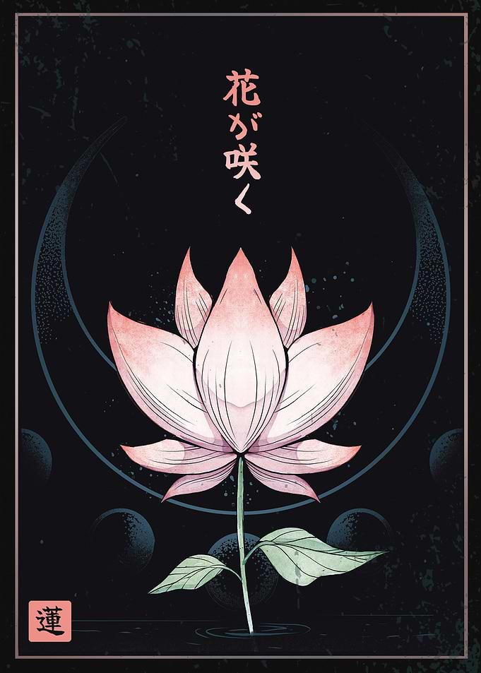 Lotus Flowers