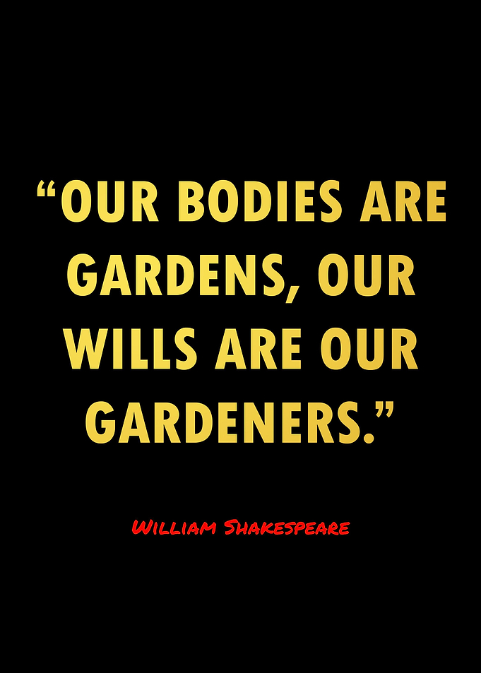 Gym Motivation Quotes