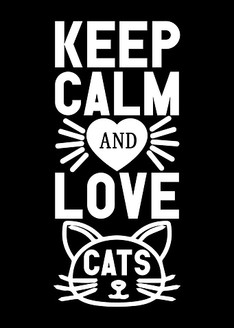 Cat Quotes Animal