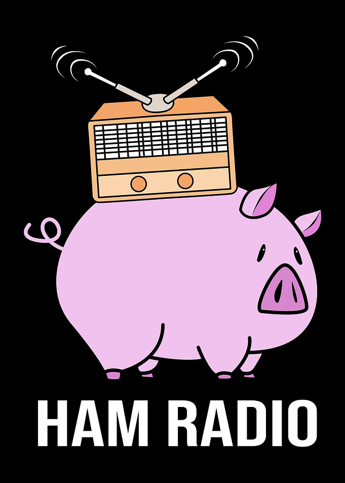 Ham Radio Pig