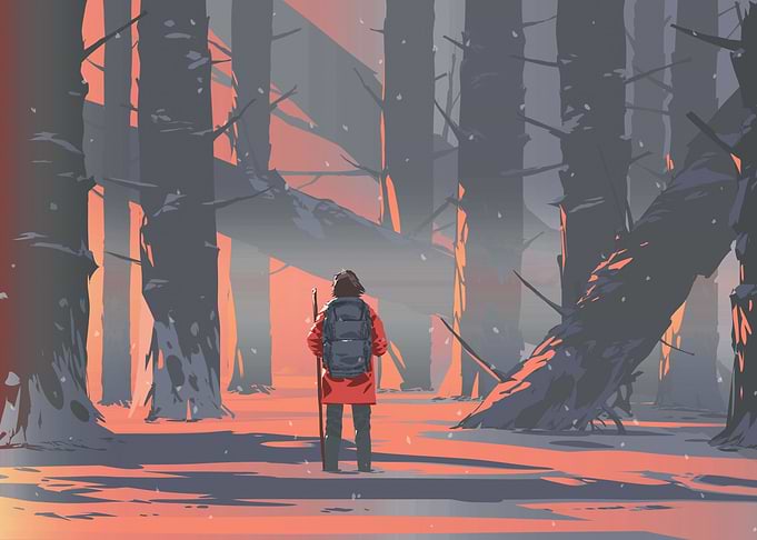 snowy forest traveler