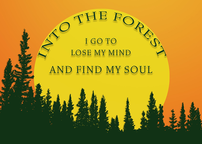 Into The Forest