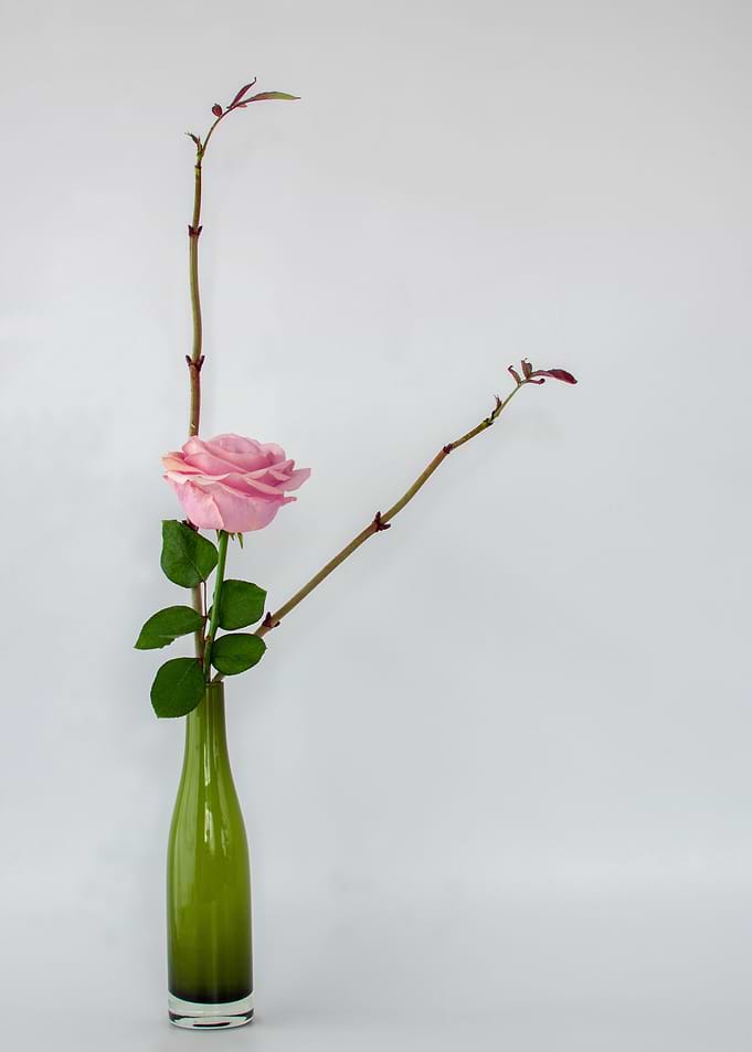 Flower Decoration