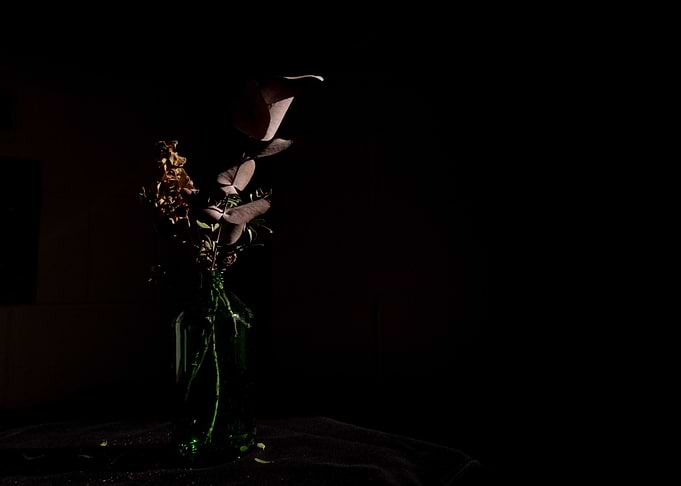 Deco and Flora Arrangement