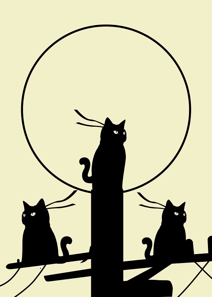 Ninja cats