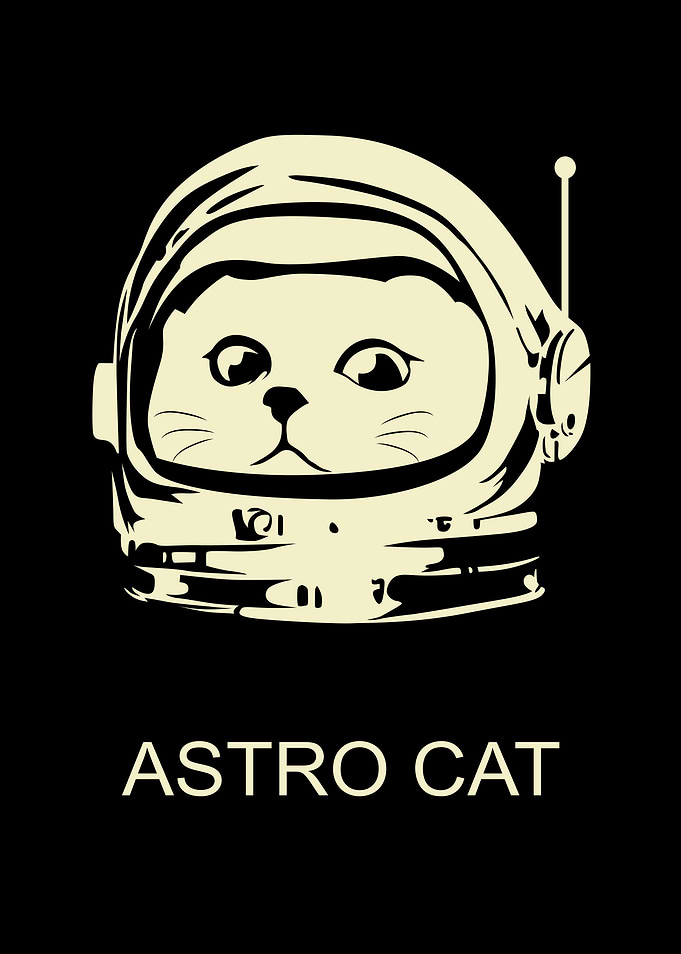 Astro Cat