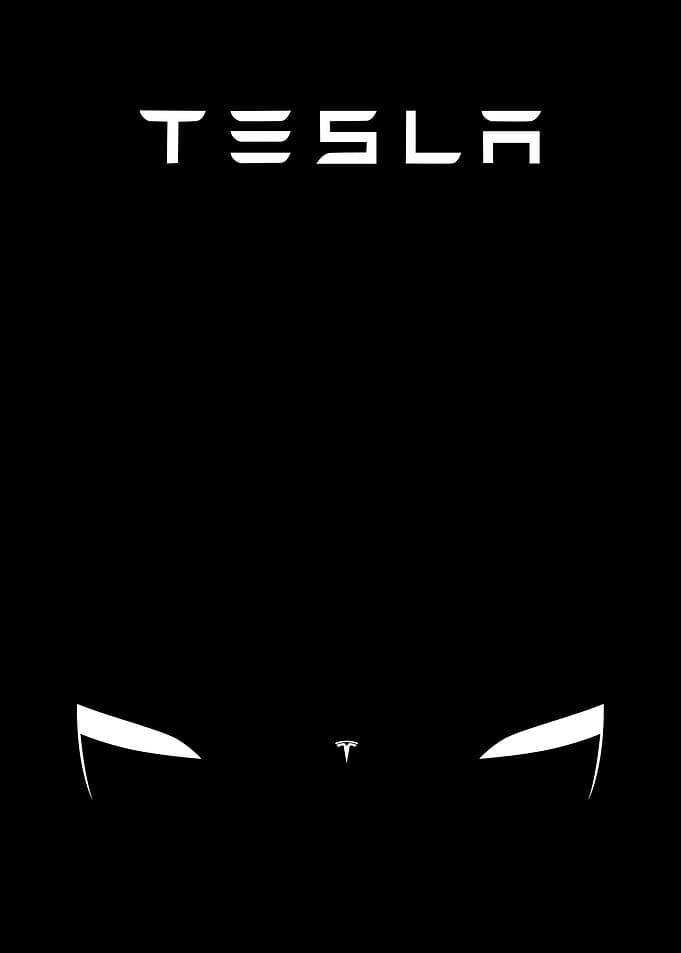 tesla minimalist