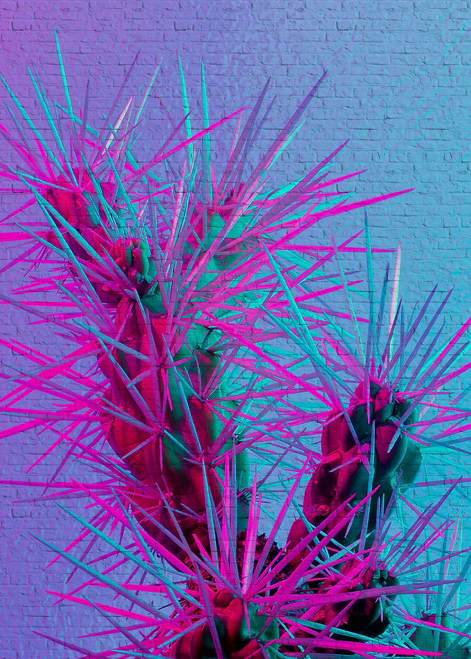 beautiful flower