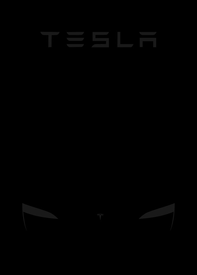 tesla minimalist