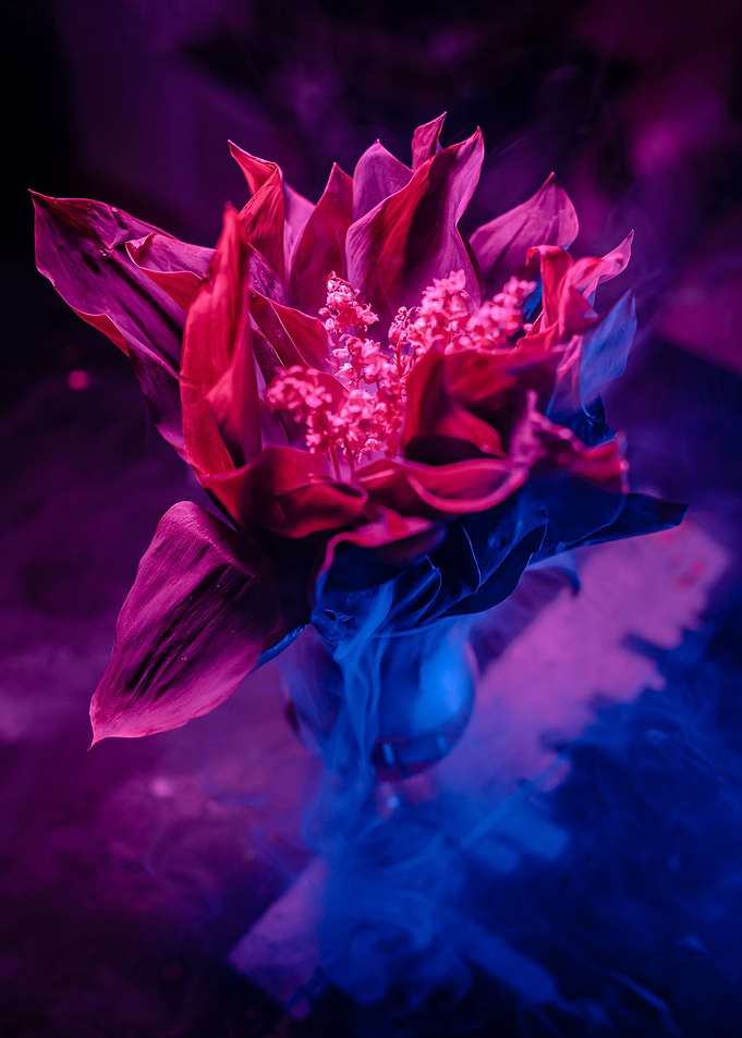 beautiful flower