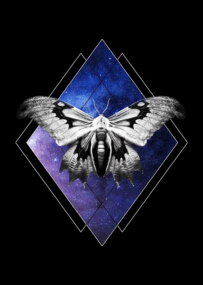 Celestial Space Moth
