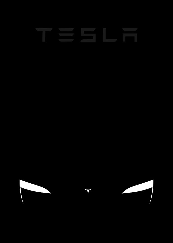 tesla minimalist
