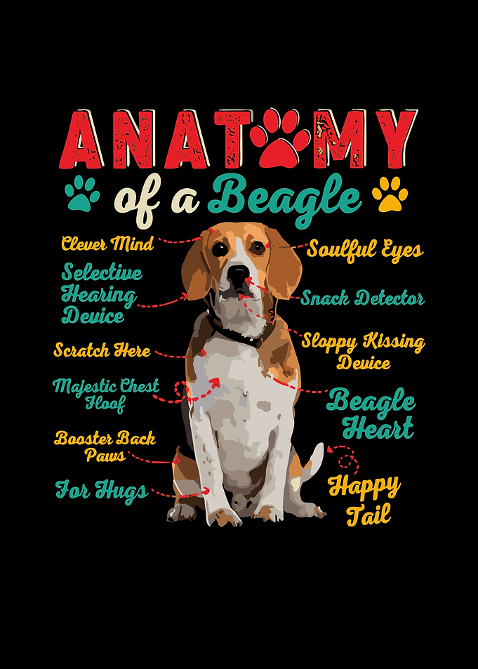 Anatomy of Dog