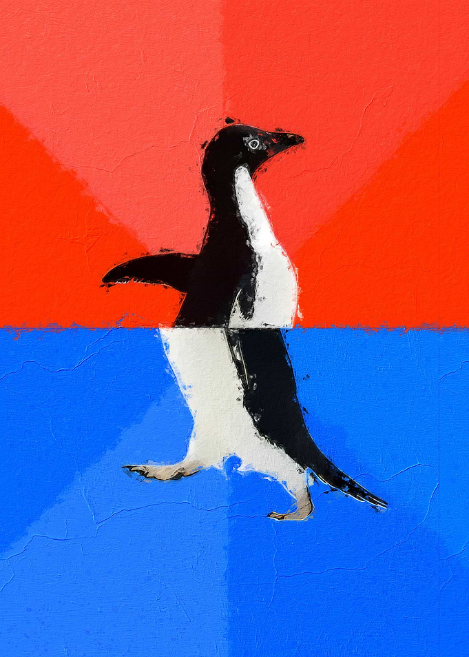 Awkward Penguin Meme