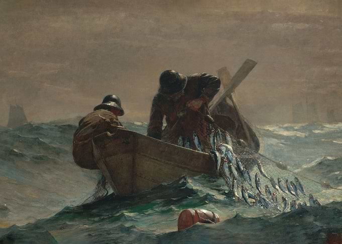 The Herring Net