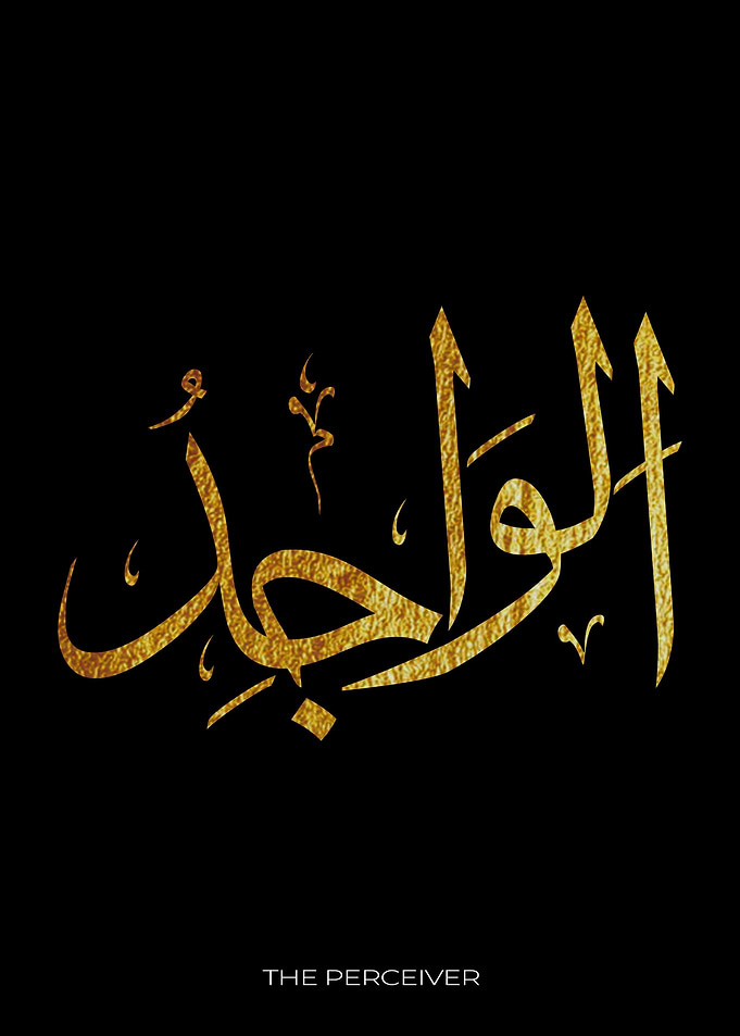 The Perceiver