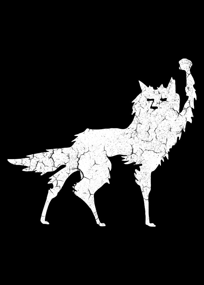 fox film