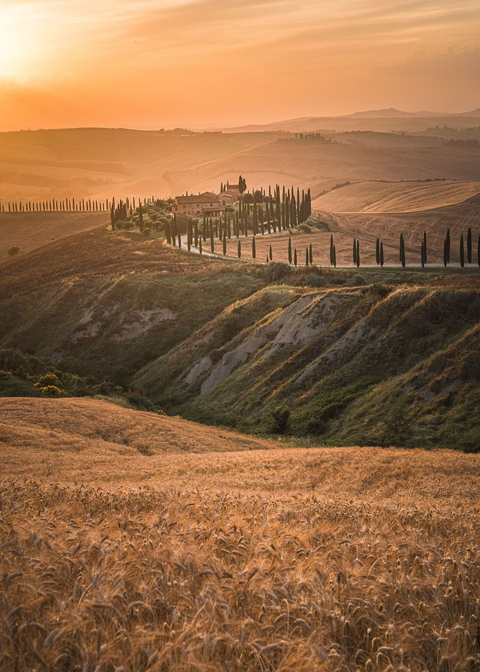 Tuscan Sunset