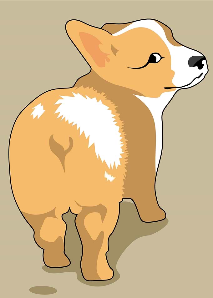 dogs