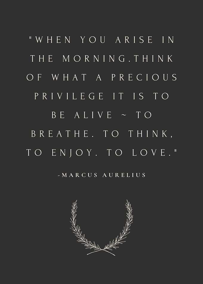 Marcus Aurelius Quote