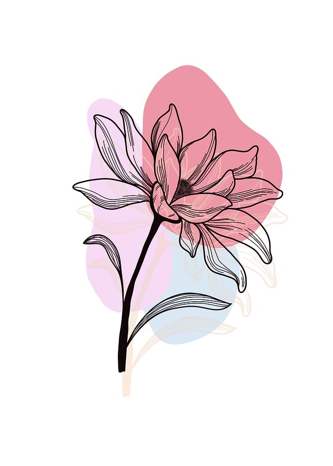 Floral Line Art