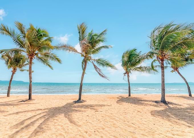 Tropical Beach