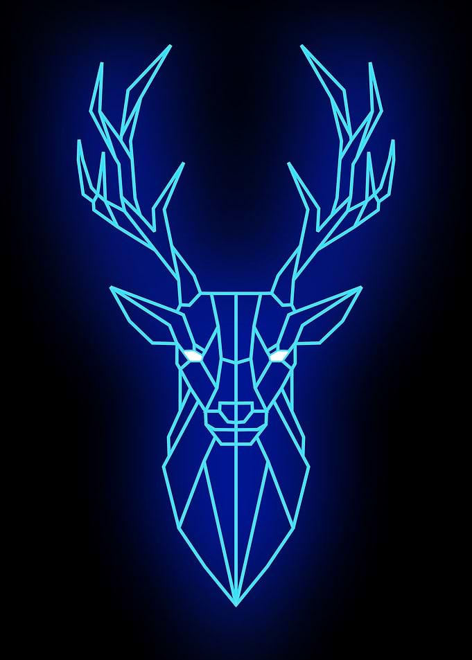 Neon Art of Deer