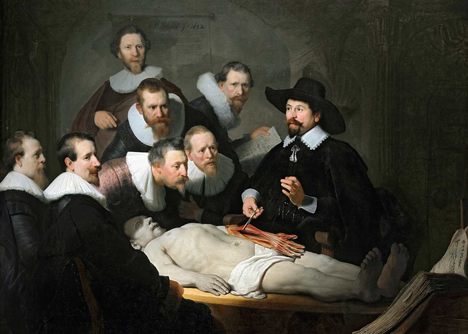 The Anatomy Lesson