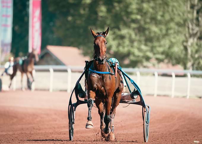horse racing