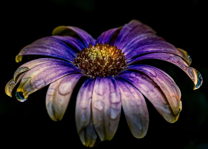 After the Rain