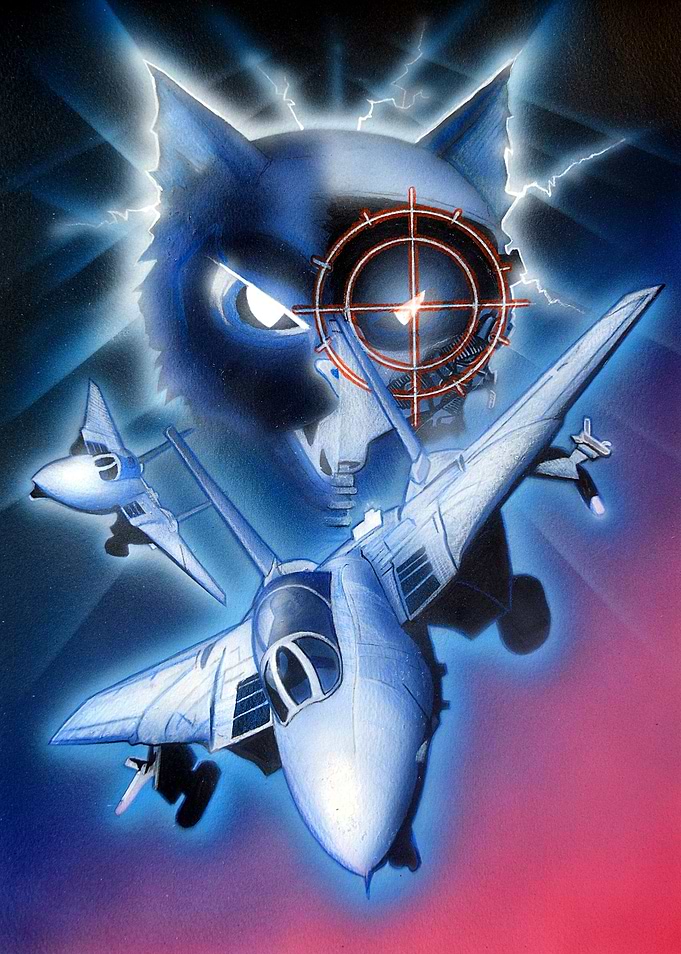 F 14 Tomcat
