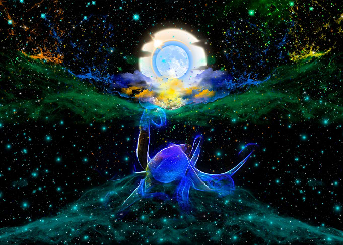 Octopus Universe