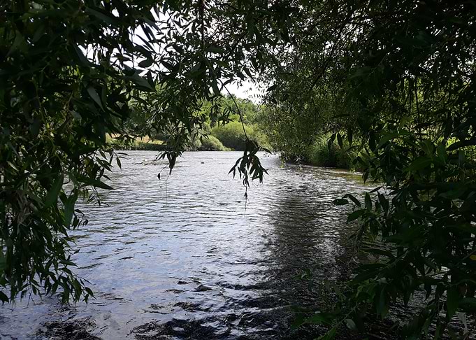 Willow riverflow