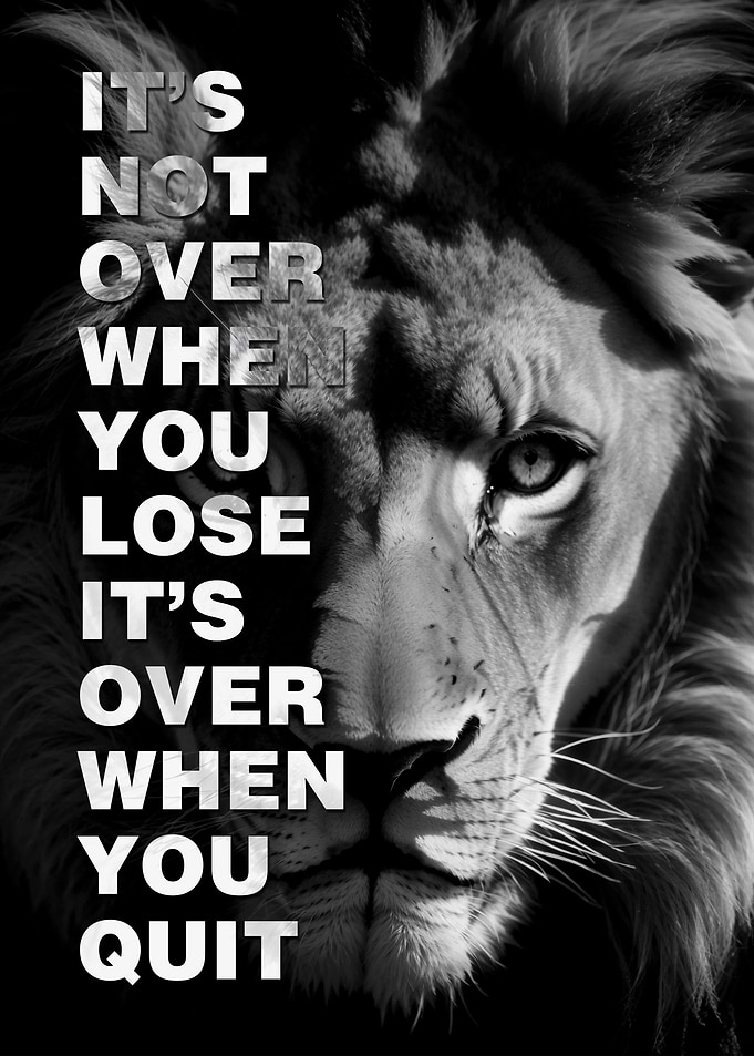 Never Give Up