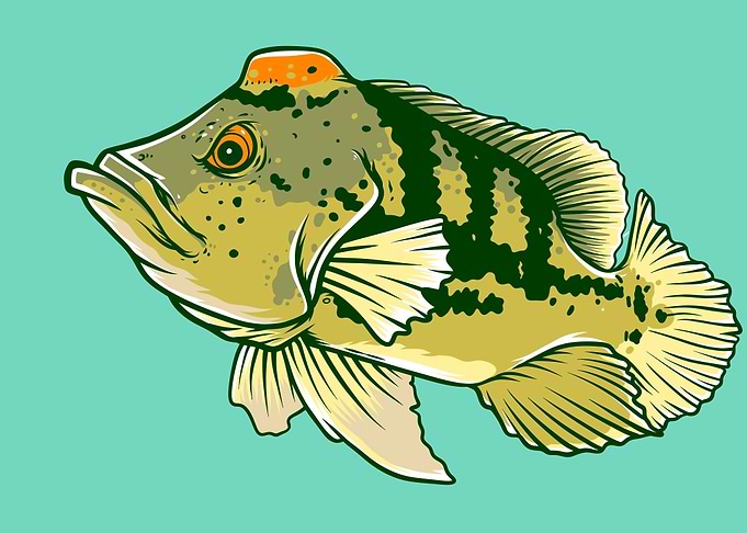 FISH GREEN