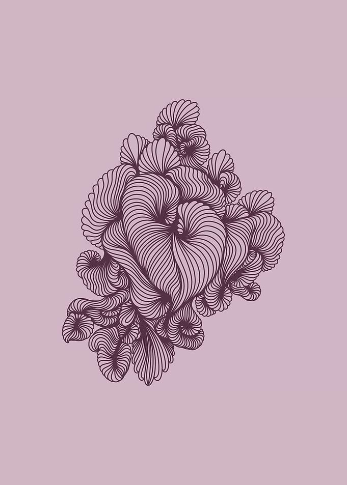 Seashells no 3