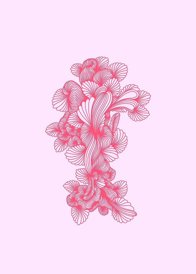 Seashells no 4