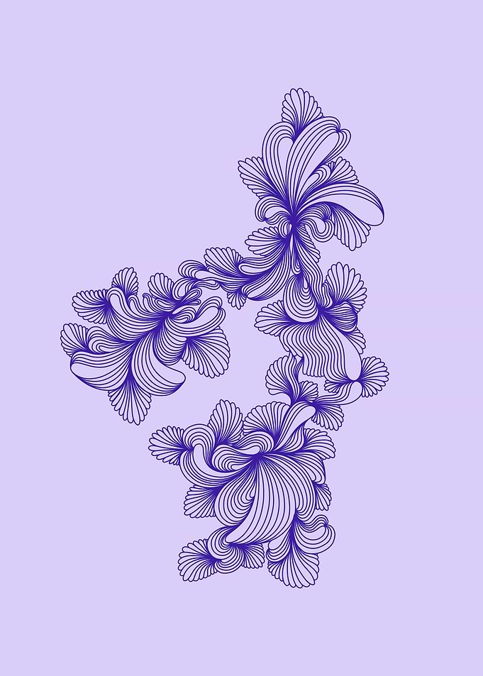 Seashells no 2