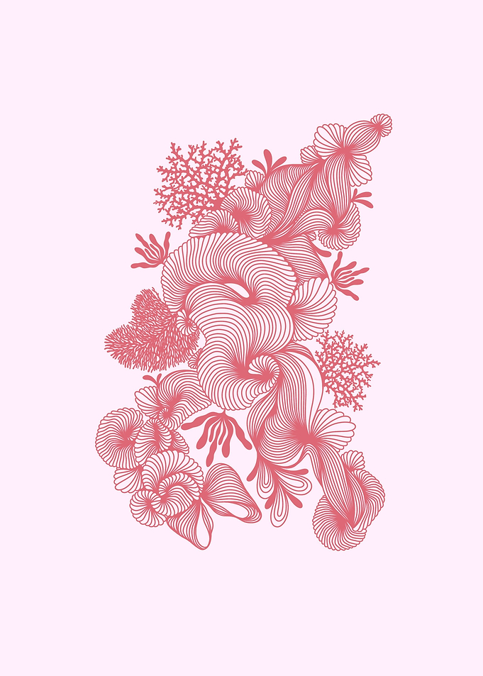 Seashells no 1