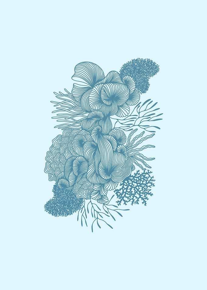Seashells no 5