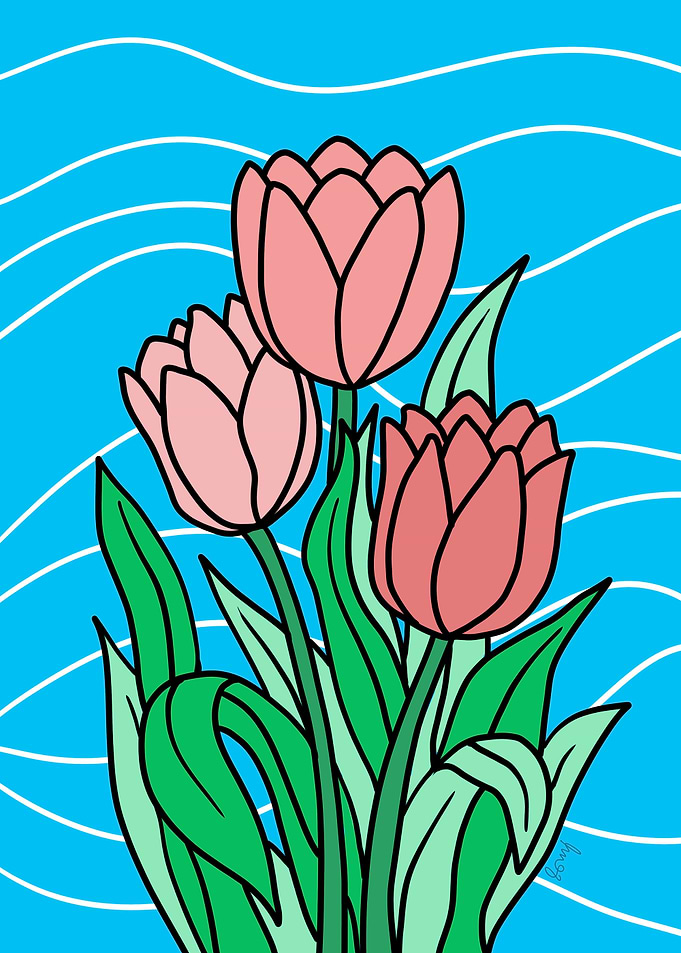 Pink Tulips Floral Flowers