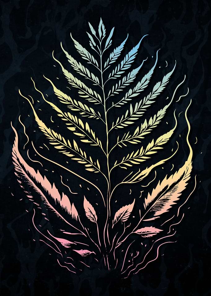 Magic Forest Fern
