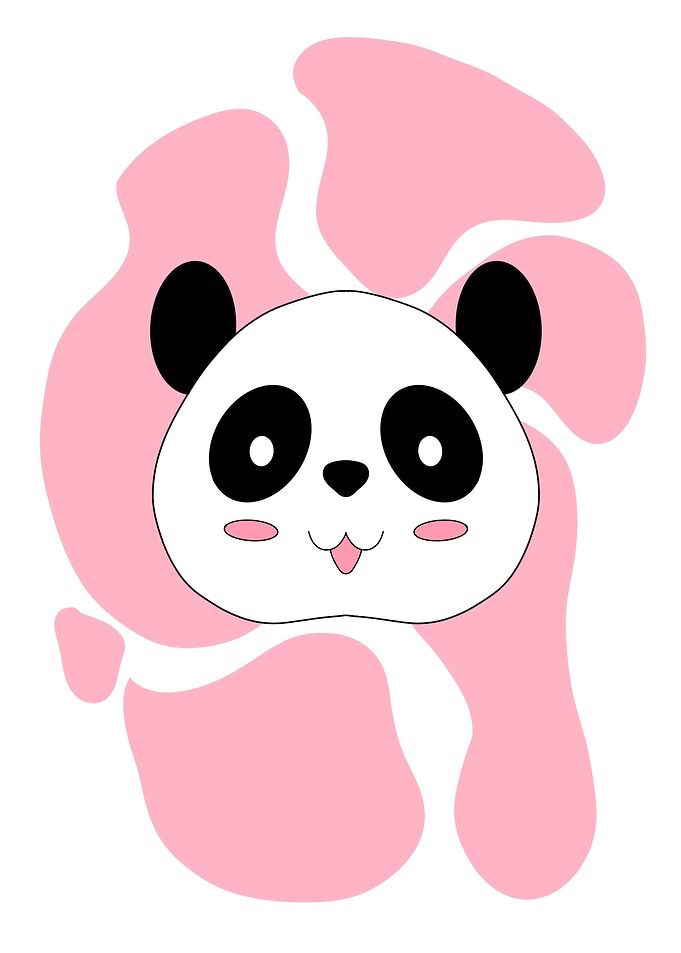 Pink Panda Kids