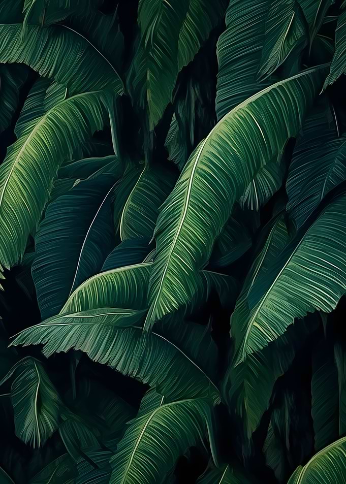 Tropical