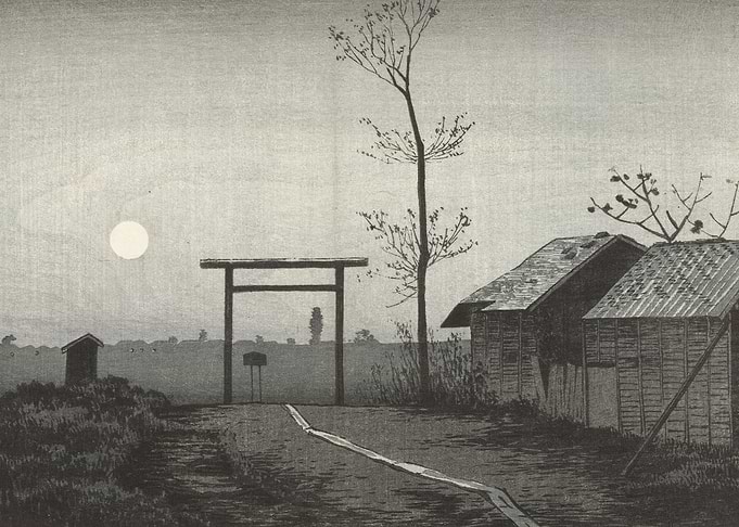 In the Rice Fields