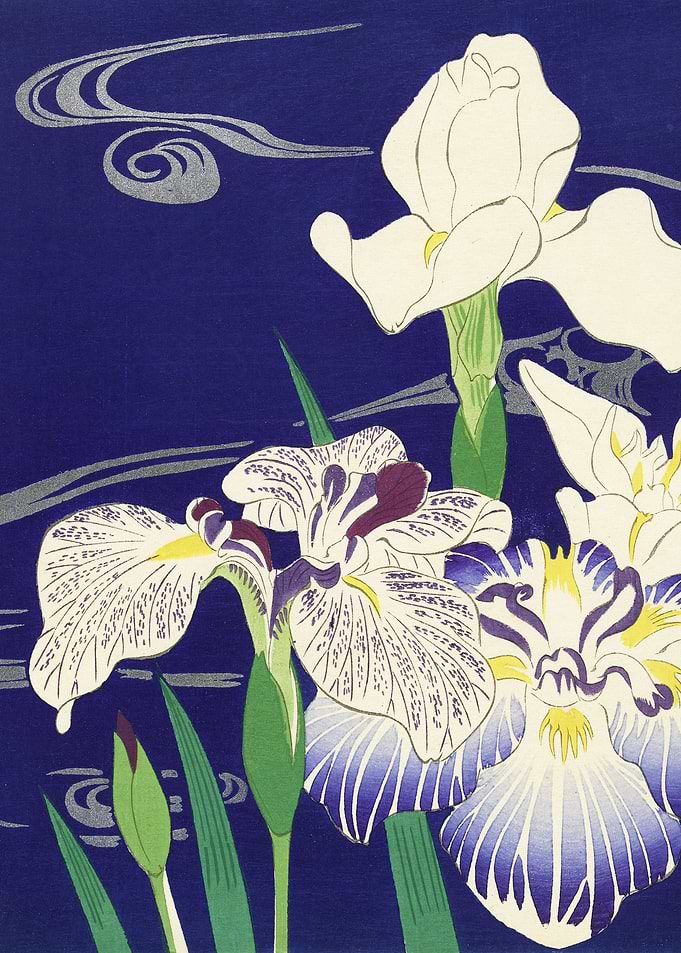 Irises