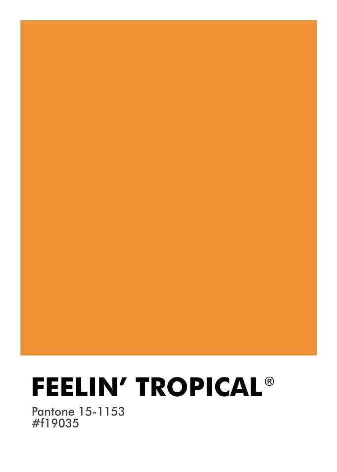 PANTONE FEELIN TROPICAL