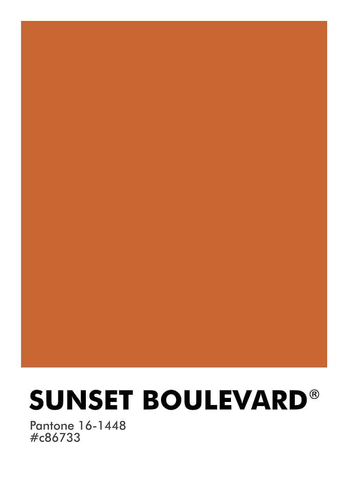 PANTONE SUNSET BOULEVARD
