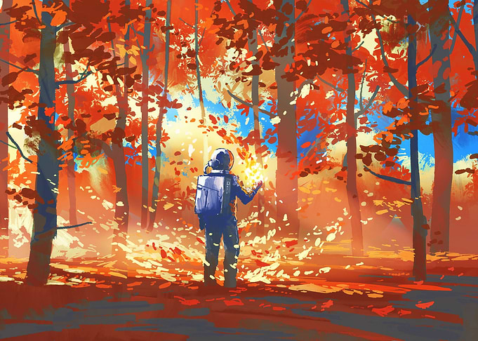 Autumn Forest