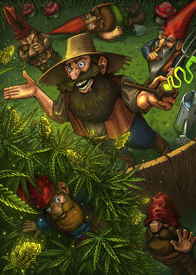 Whimsical Gnomes